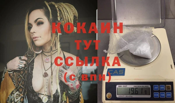 стафф Магадан