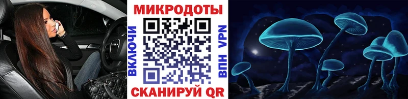 наркота  Томмот  Псилоцибиновые грибы Psilocybine cubensis 